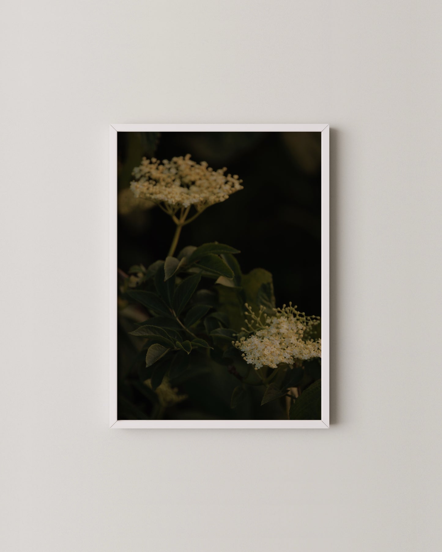 Gallery Set Of 9- Wall Art -Paperhus- Printable wall art - Instant downloads - DIY home decor -Paperhus