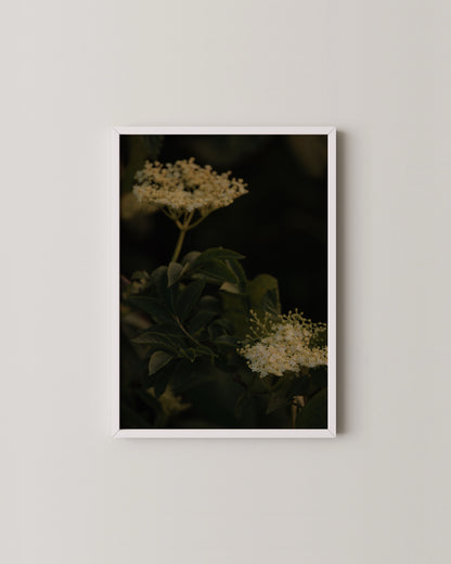 Gallery Set Of 9- Wall Art -Paperhus- Printable wall art - Instant downloads - DIY home decor -Paperhus