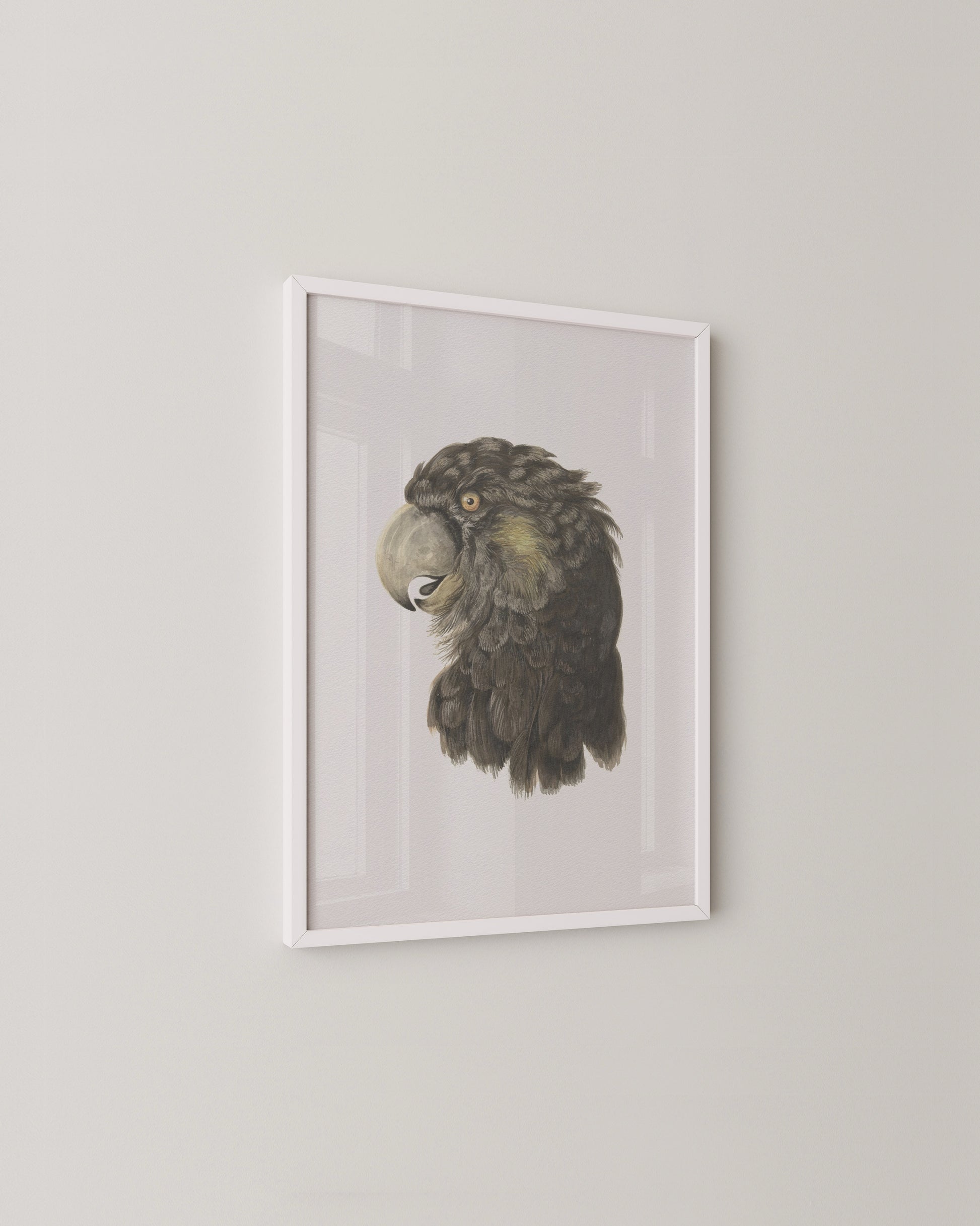 Black Cockatoo Print- Wall Art -Paperhus- Printable wall art - Instant downloads - DIY home decor -Paperhus