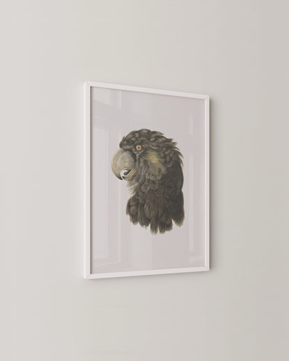 Black Cockatoo Print- Wall Art -Paperhus- Printable wall art - Instant downloads - DIY home decor -Paperhus