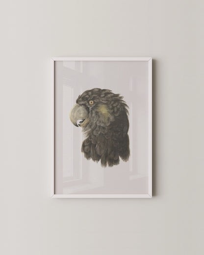 Black Cockatoo Print- Wall Art -Paperhus- Printable wall art - Instant downloads - DIY home decor -Paperhus