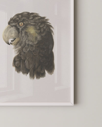 Black Cockatoo Print- Wall Art -Paperhus- Printable wall art - Instant downloads - DIY home decor -Paperhus