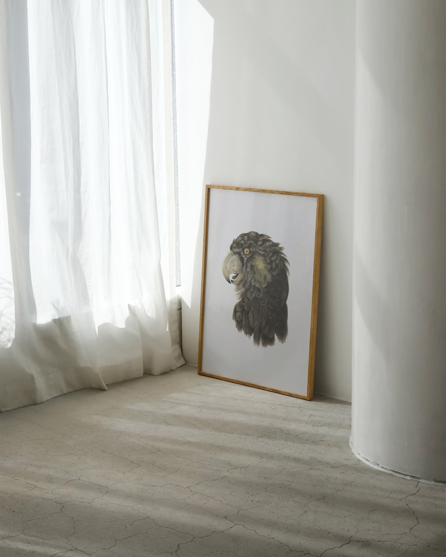 Black Cockatoo Print- Wall Art -Paperhus- Printable wall art - Instant downloads - DIY home decor -Paperhus