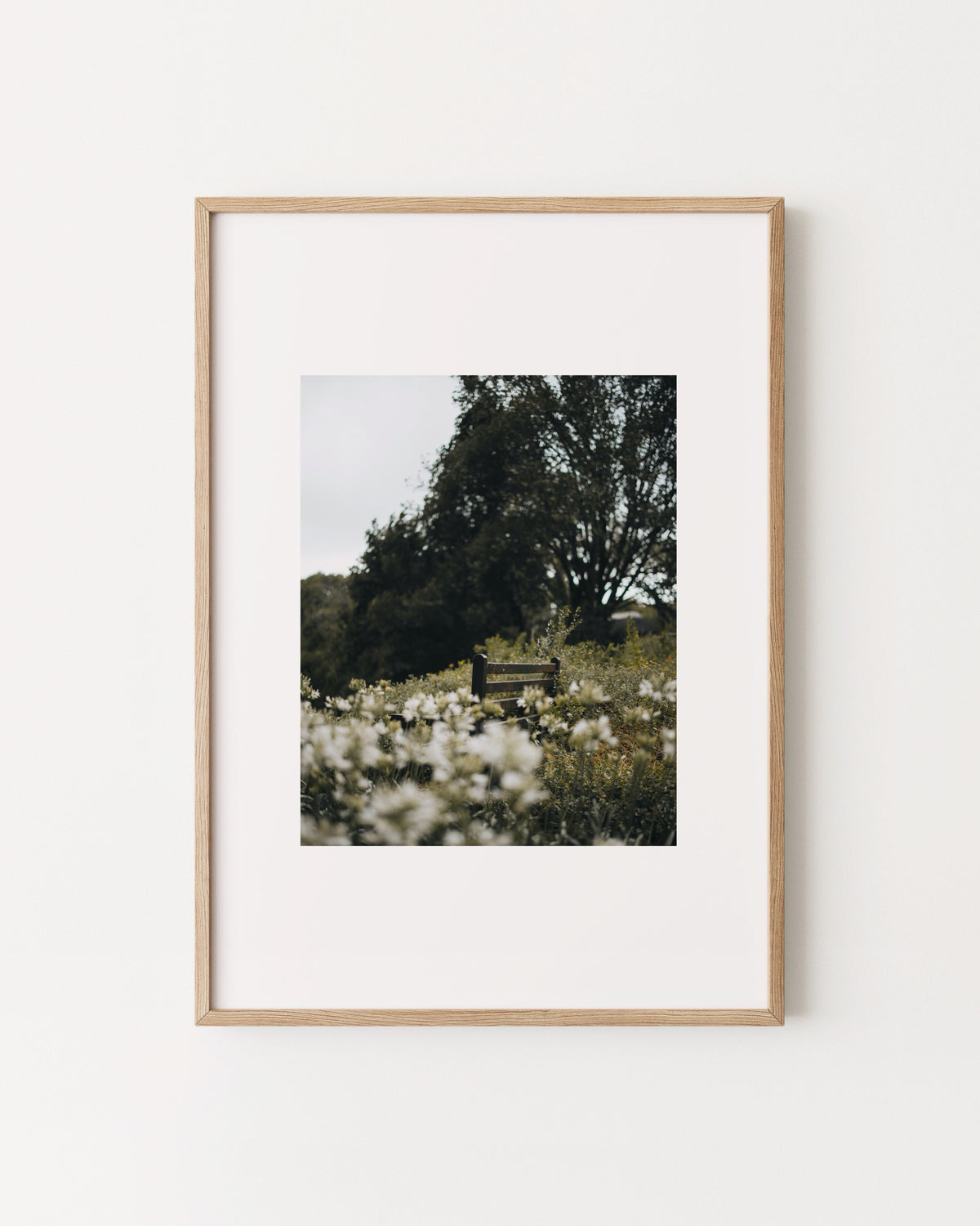 Moody Botanical Photography Printable Wall Art
