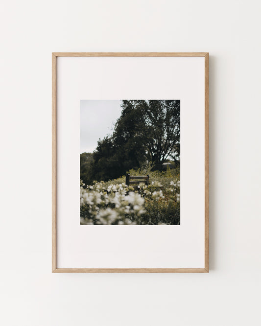 Moody Botanical Photography Printable Wall Art