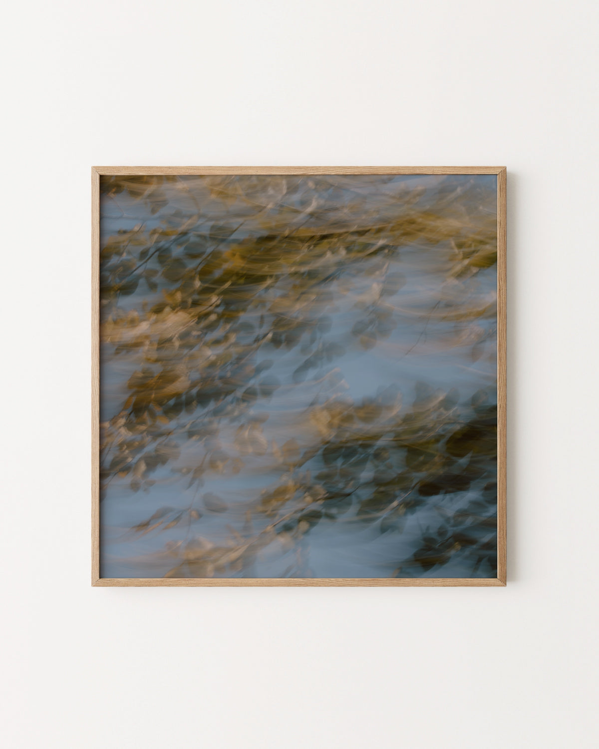 Countryside Studies. Nature In Motion