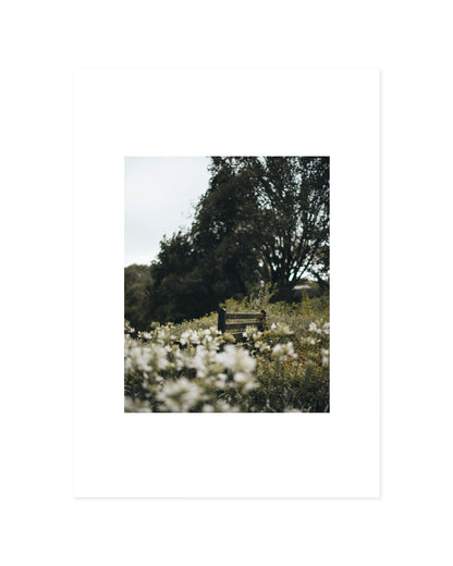 Botanical Photography. Set-printable wall art by Paperhus