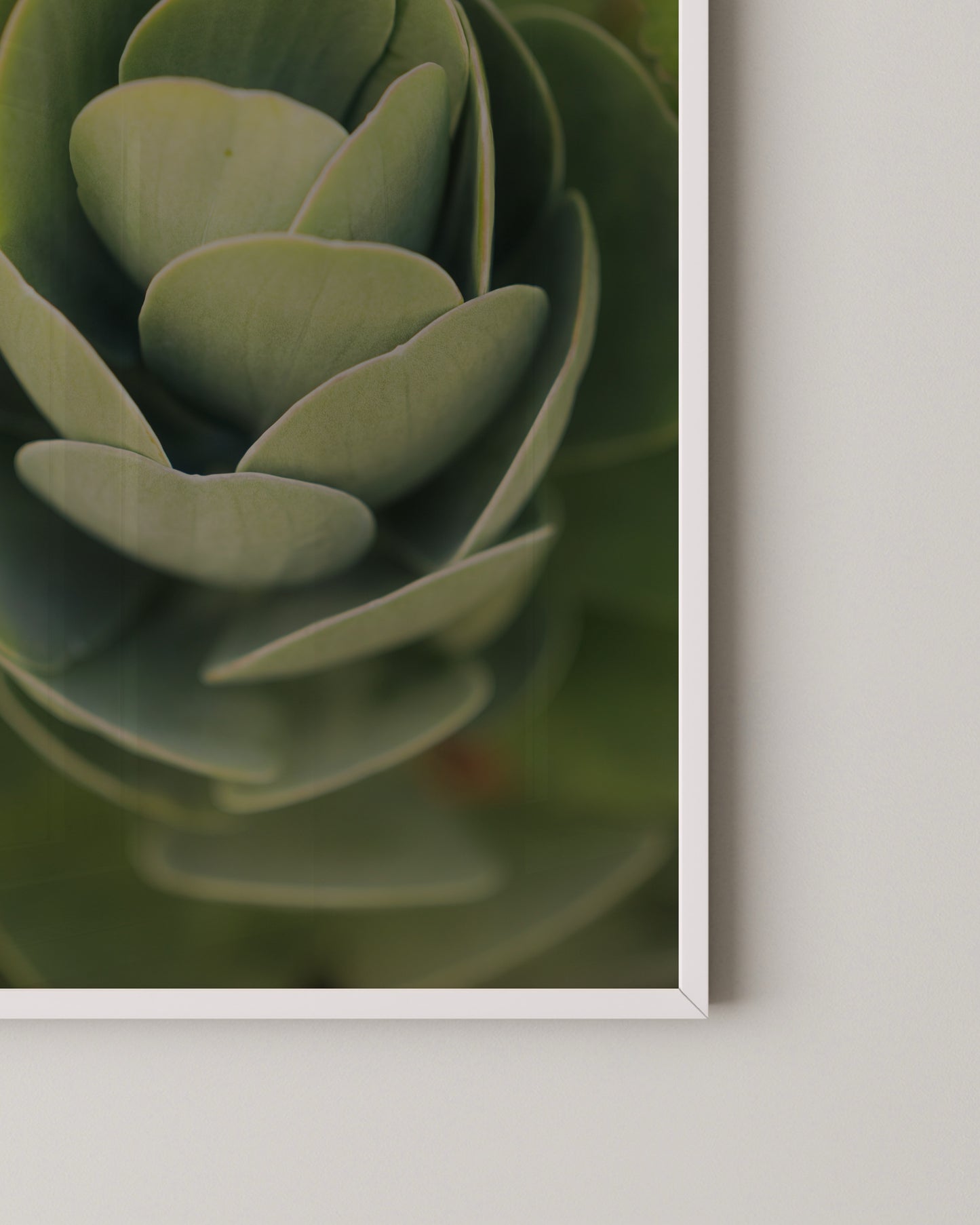 Succulent Spiral Print- Wall Art -Paperhus- Printable wall art - Instant downloads - DIY home decor -Paperhus