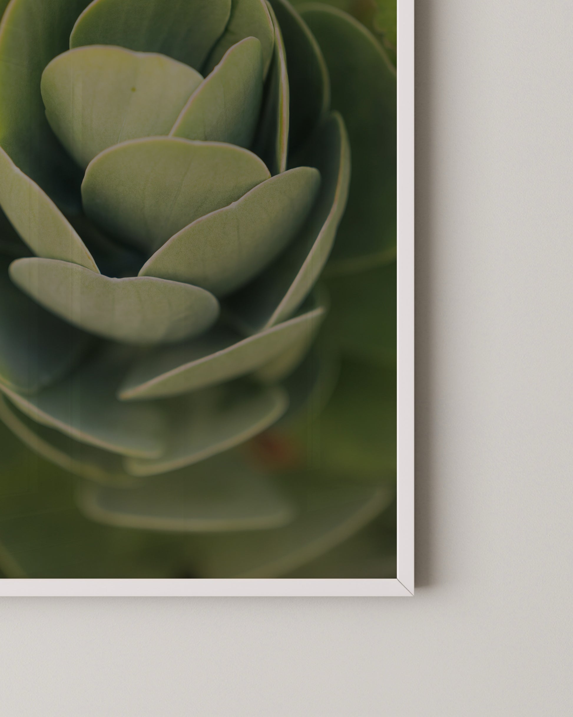 Succulent Spiral Print- Wall Art -Paperhus- Printable wall art - Instant downloads - DIY home decor -Paperhus