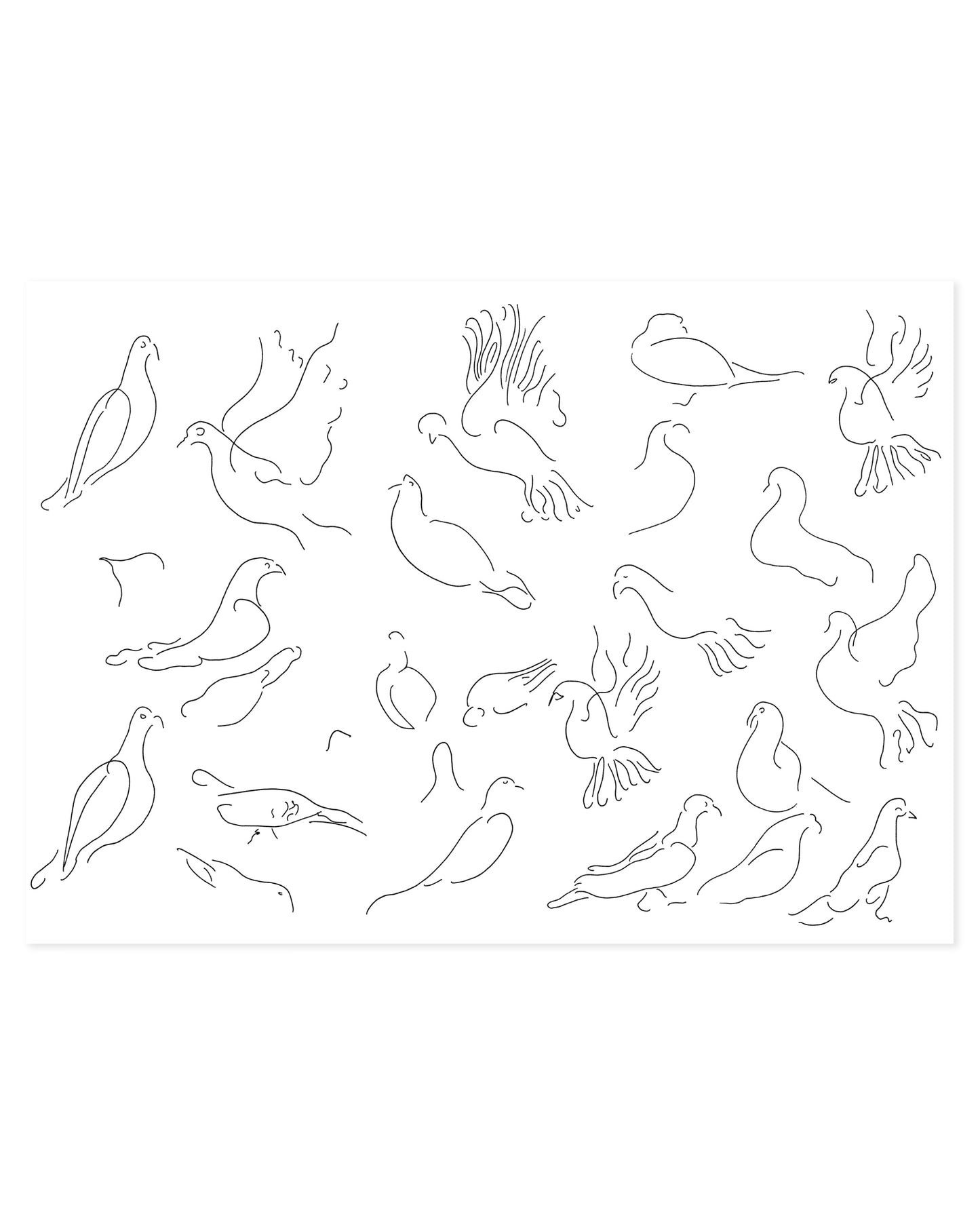 Bird Line Drawing Printable Wall Art | Digital Download printable wall art by Paperhus