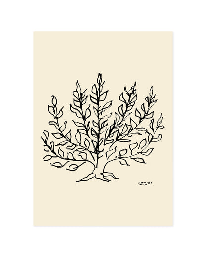 Matisse Printable Wall Art | Digital Download printable wall art by Paperhus