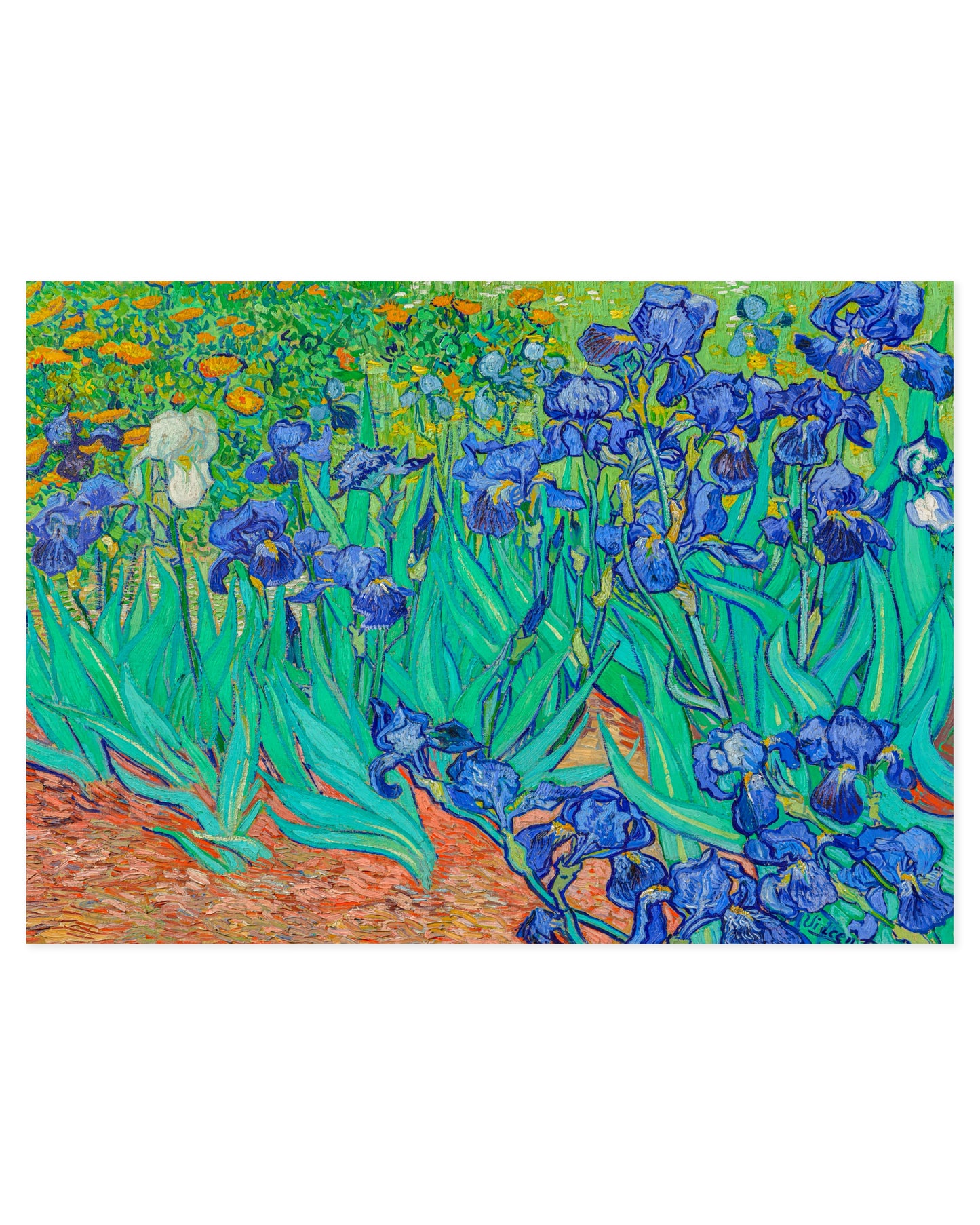 Van Gogh. Irises printable wall art by Paperhus