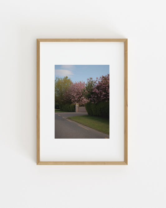 Spring In Bloom. Road Scene-printable wall art by Paperhus