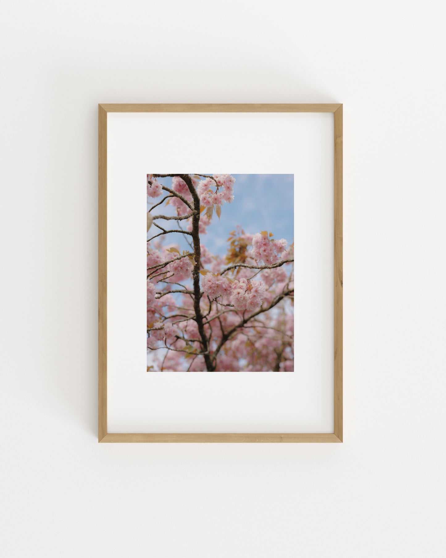 Spring In Bloom. Blossom Branch-printable wall art by Paperhus
