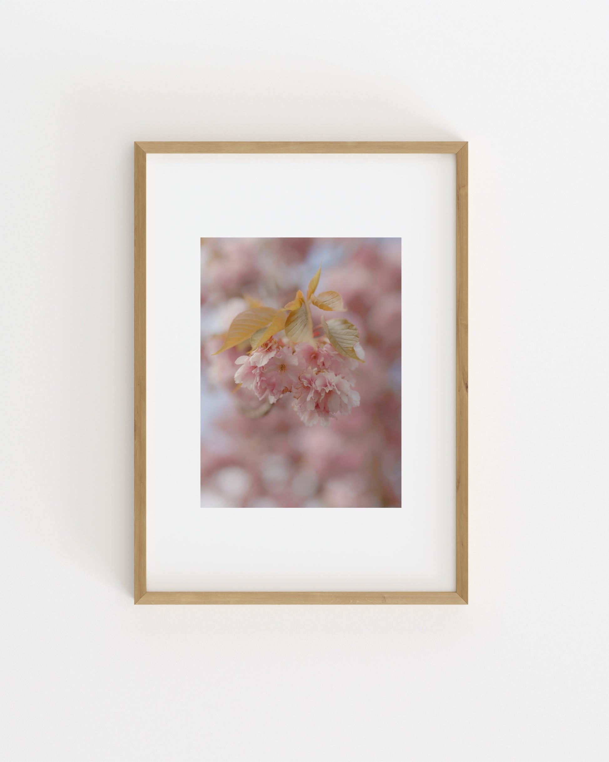 Spring In Bloom. Soft Bloom-printable wall art by Paperhus