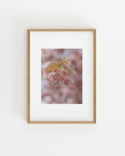 Spring In Bloom. Soft Bloom-printable wall art by Paperhus