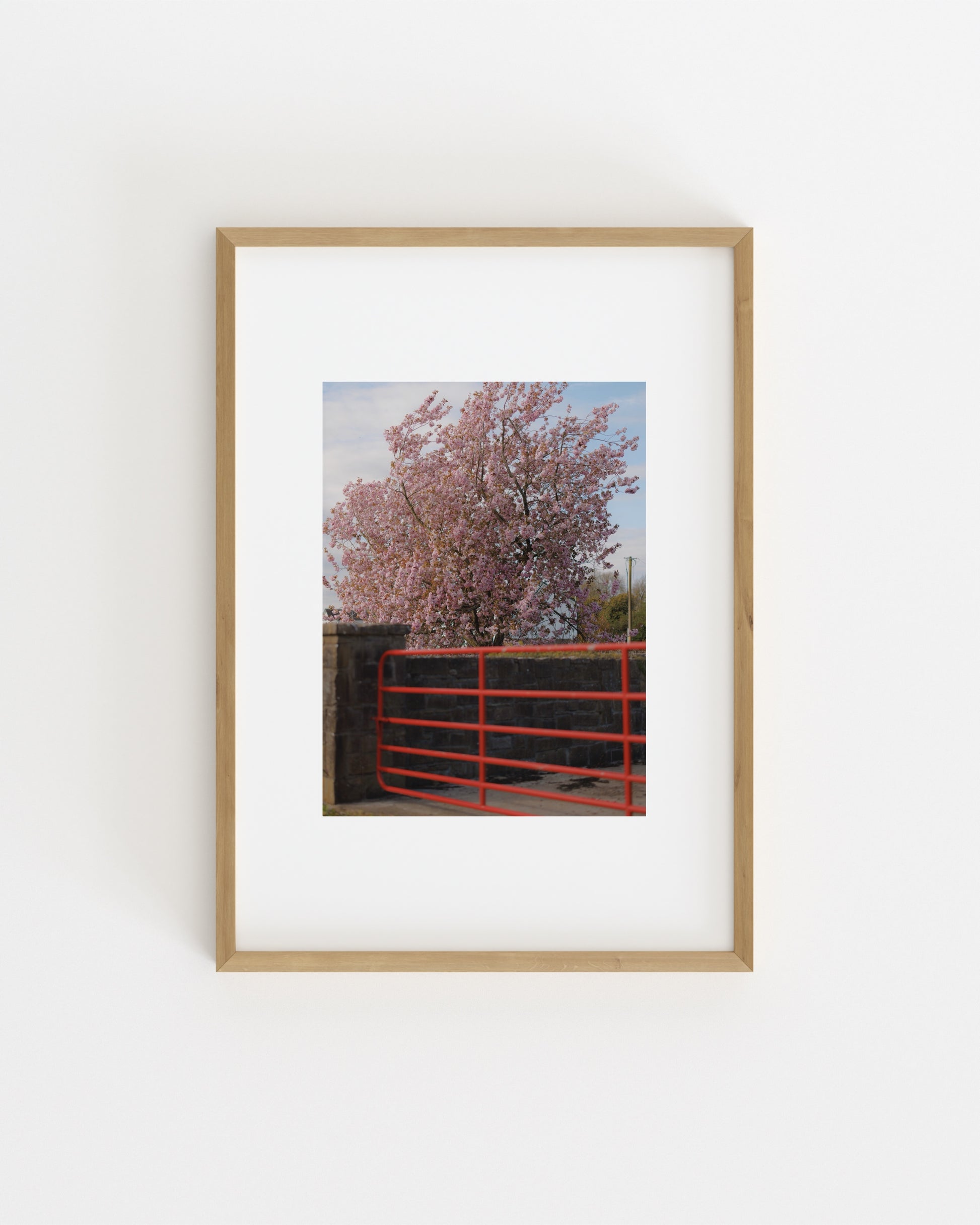 Spring In Bloom. Red Gate-printable wall art by Paperhus
