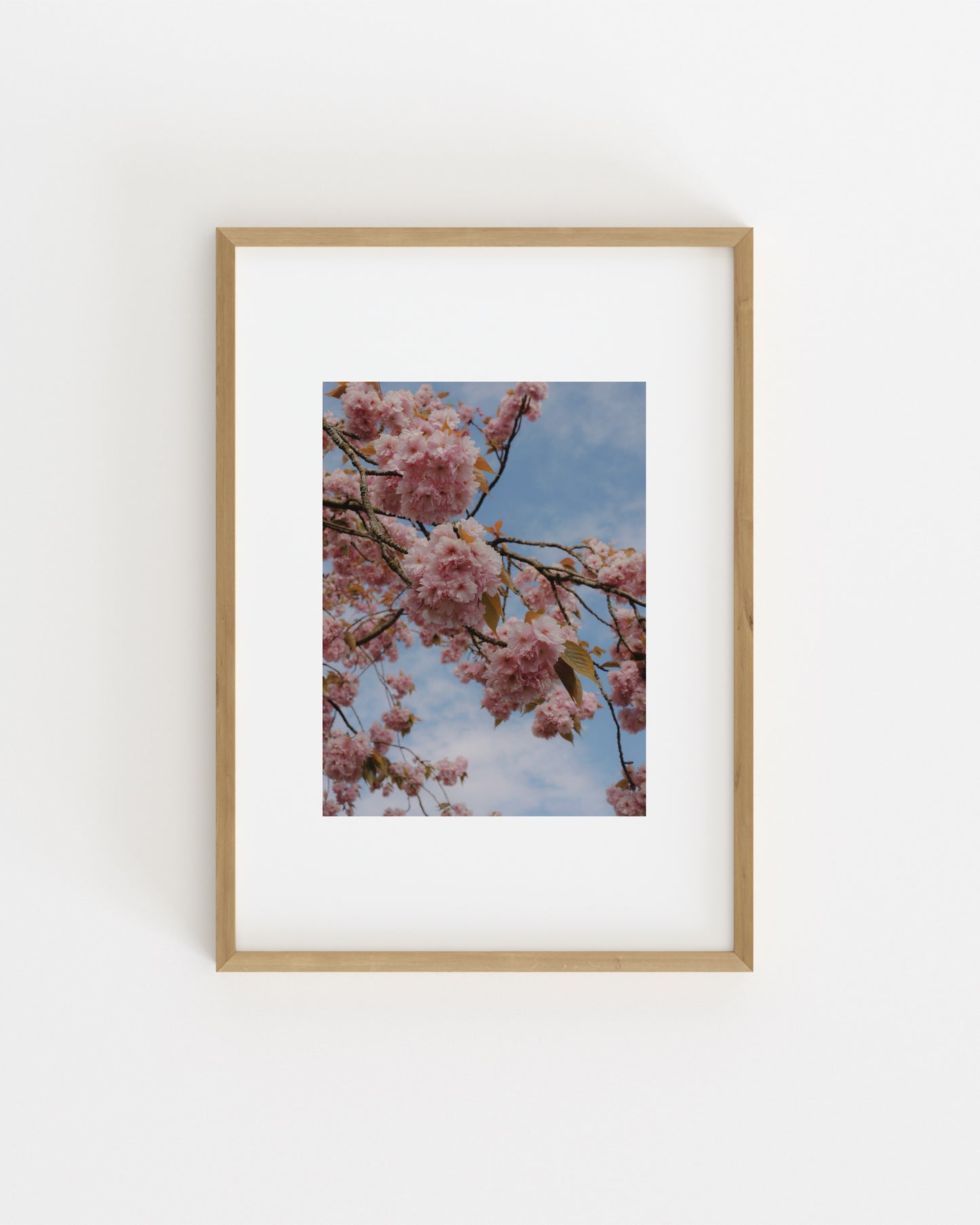 Spring In Bloom. Pink Sakura-printable wall art by Paperhus