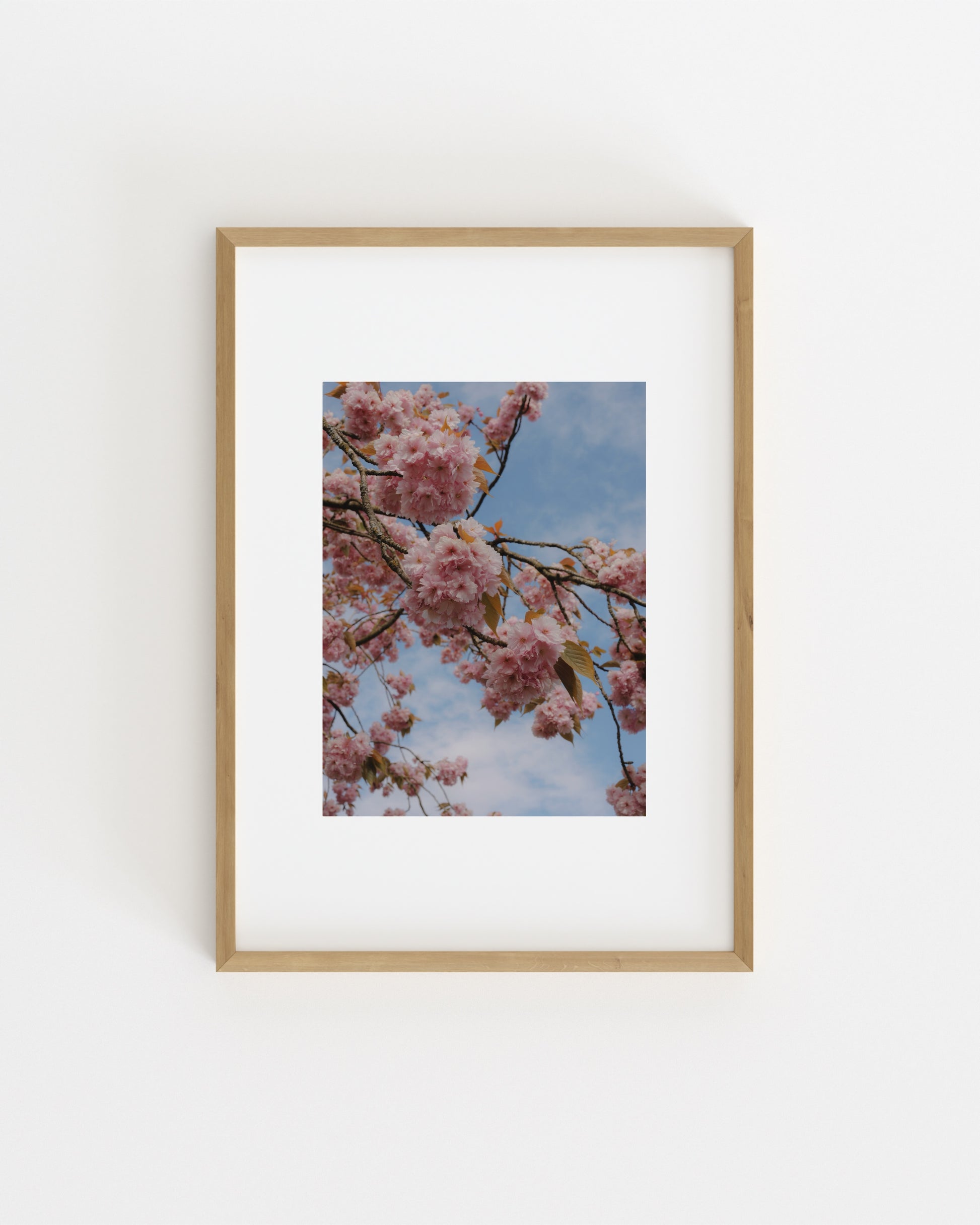 Spring In Bloom. Pink Sakura-printable wall art by Paperhus
