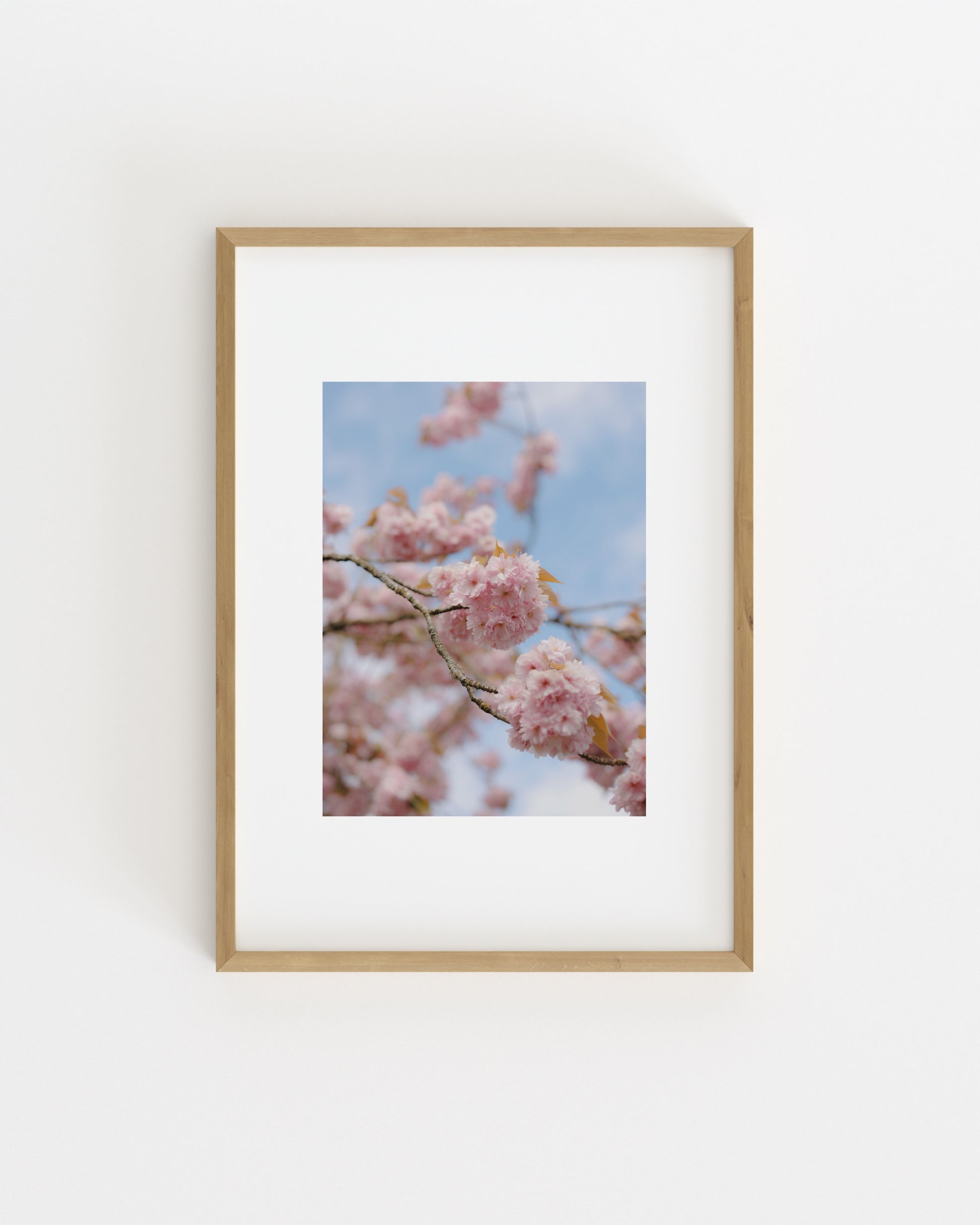 Spring In Bloom. Bloom Study-printable wall art by Paperhus