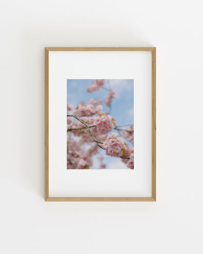 Spring In Bloom. Bloom Study-printable wall art by Paperhus