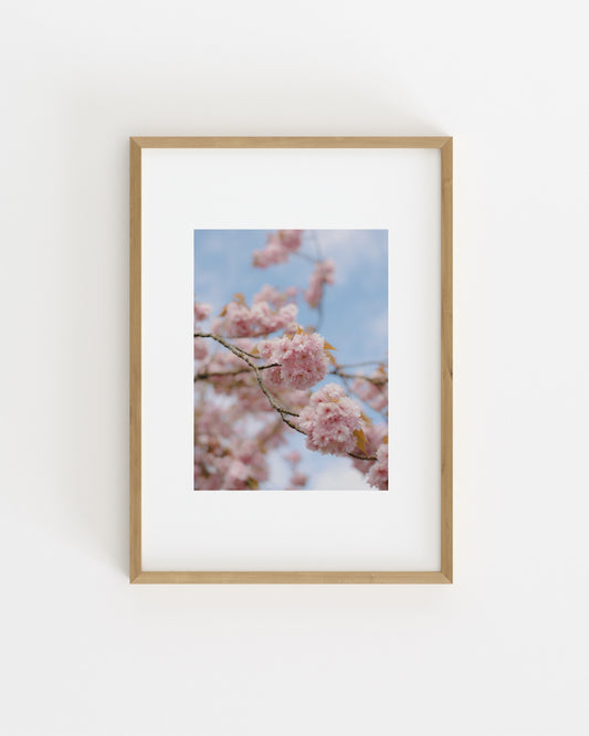 Spring In Bloom. Bloom Study-printable wall art by Paperhus