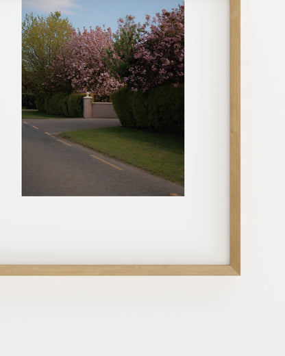 Spring In Bloom. Road Scene-printable wall art by Paperhus