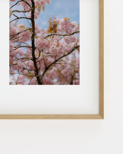 Spring In Bloom. Blossom Branch-printable wall art by Paperhus
