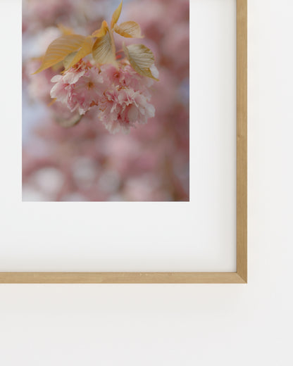 Spring In Bloom. Soft Bloom-printable wall art by Paperhus