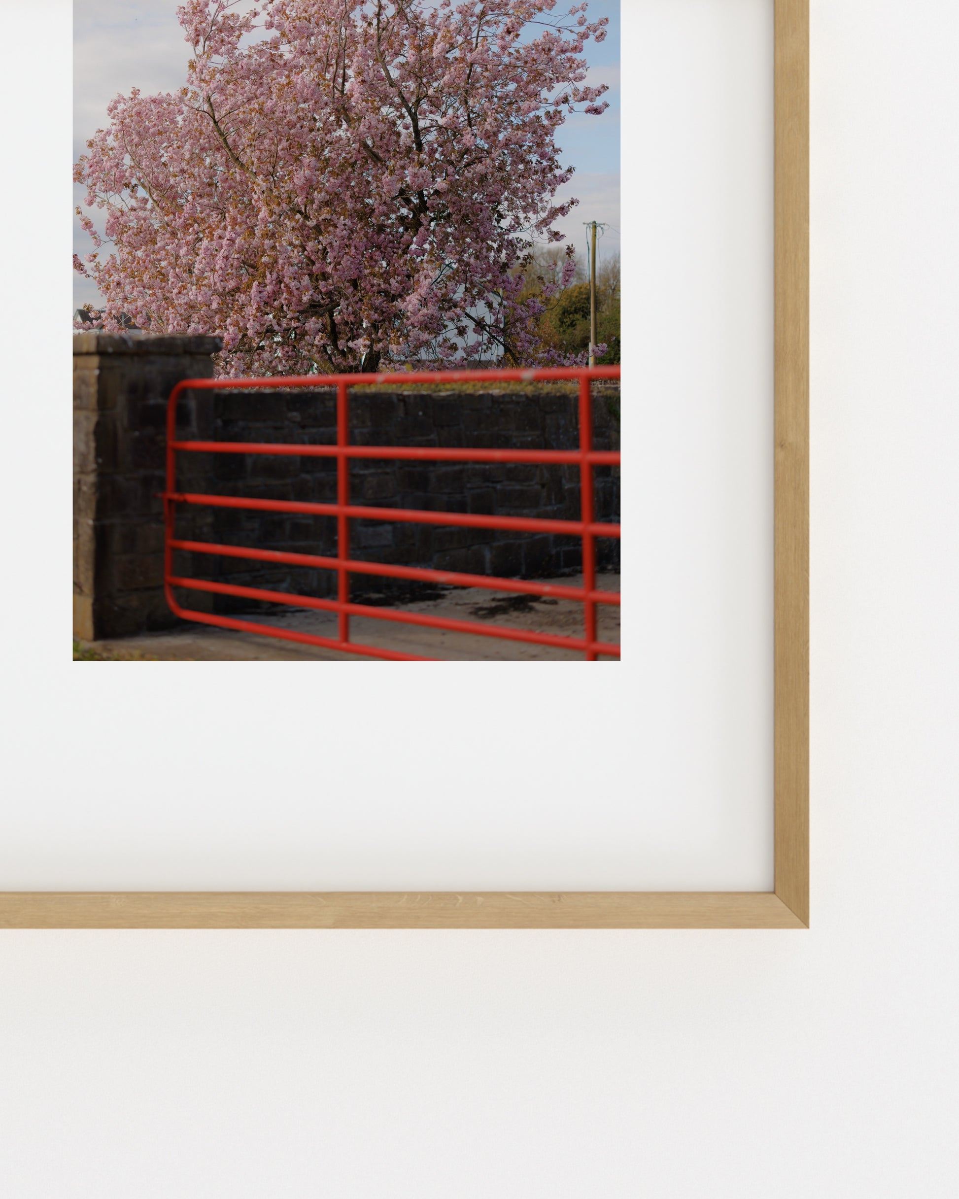Spring In Bloom. Red Gate-printable wall art by Paperhus