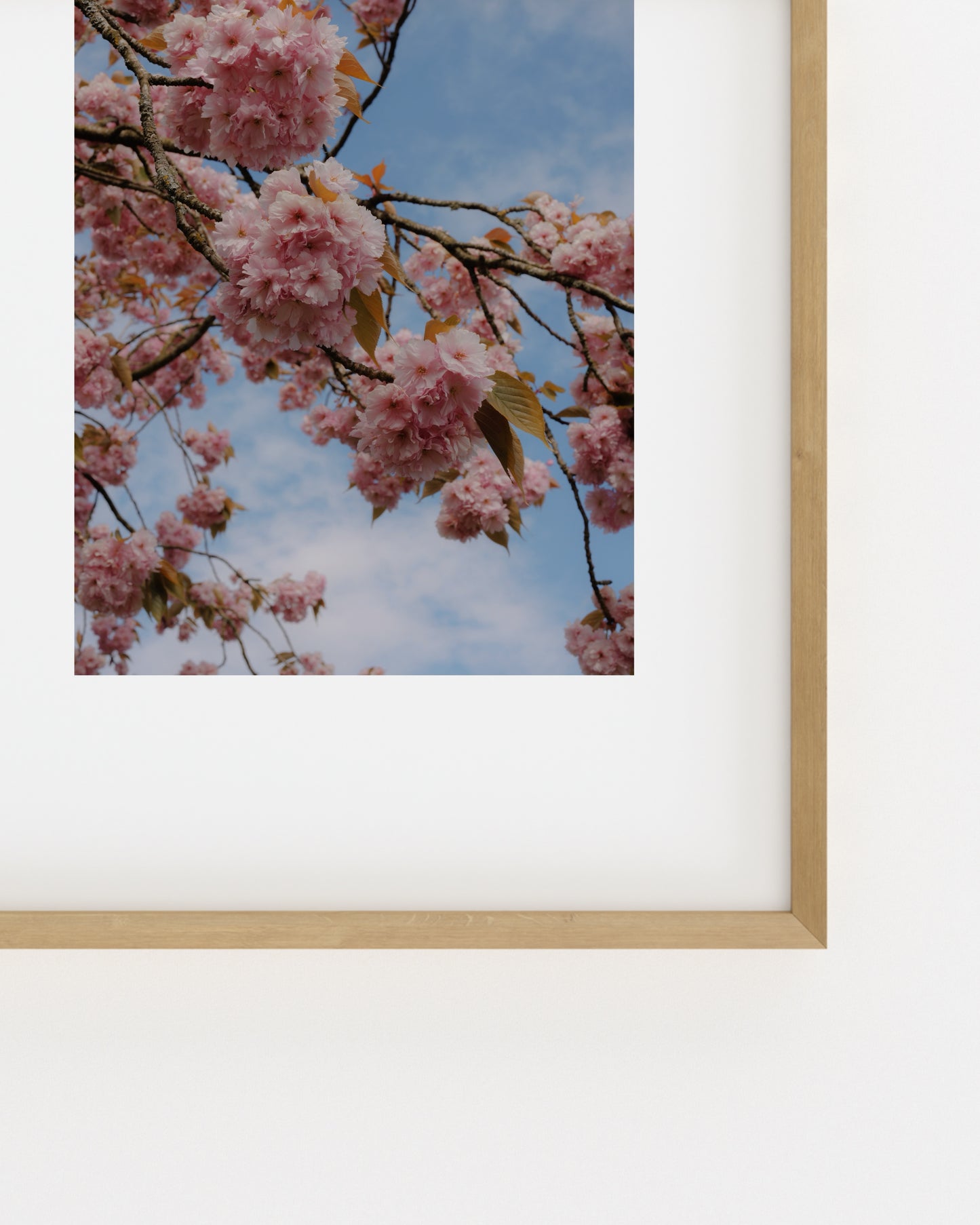 Spring In Bloom. Pink Sakura-printable wall art by Paperhus