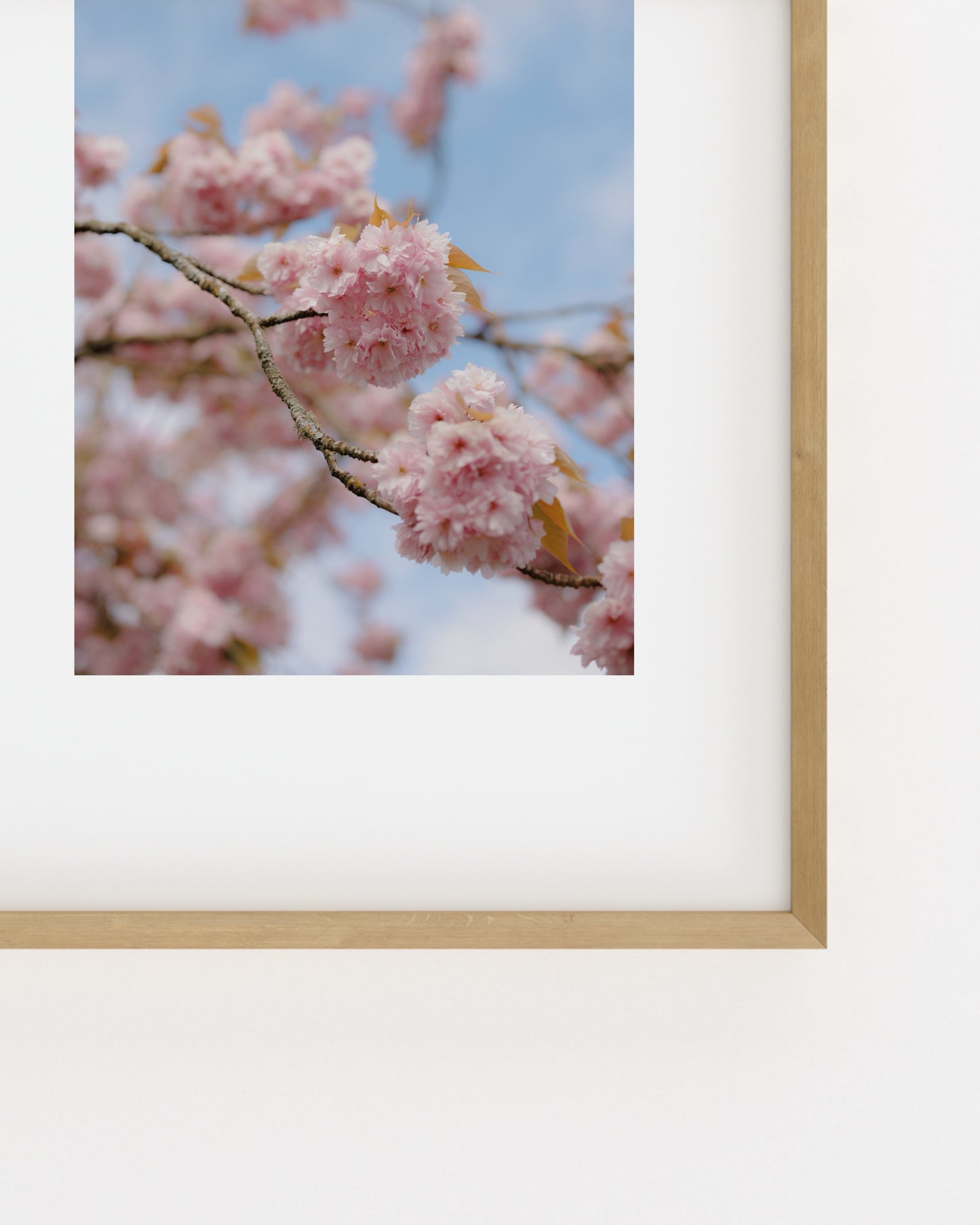 Spring In Bloom. Bloom Study-printable wall art by Paperhus