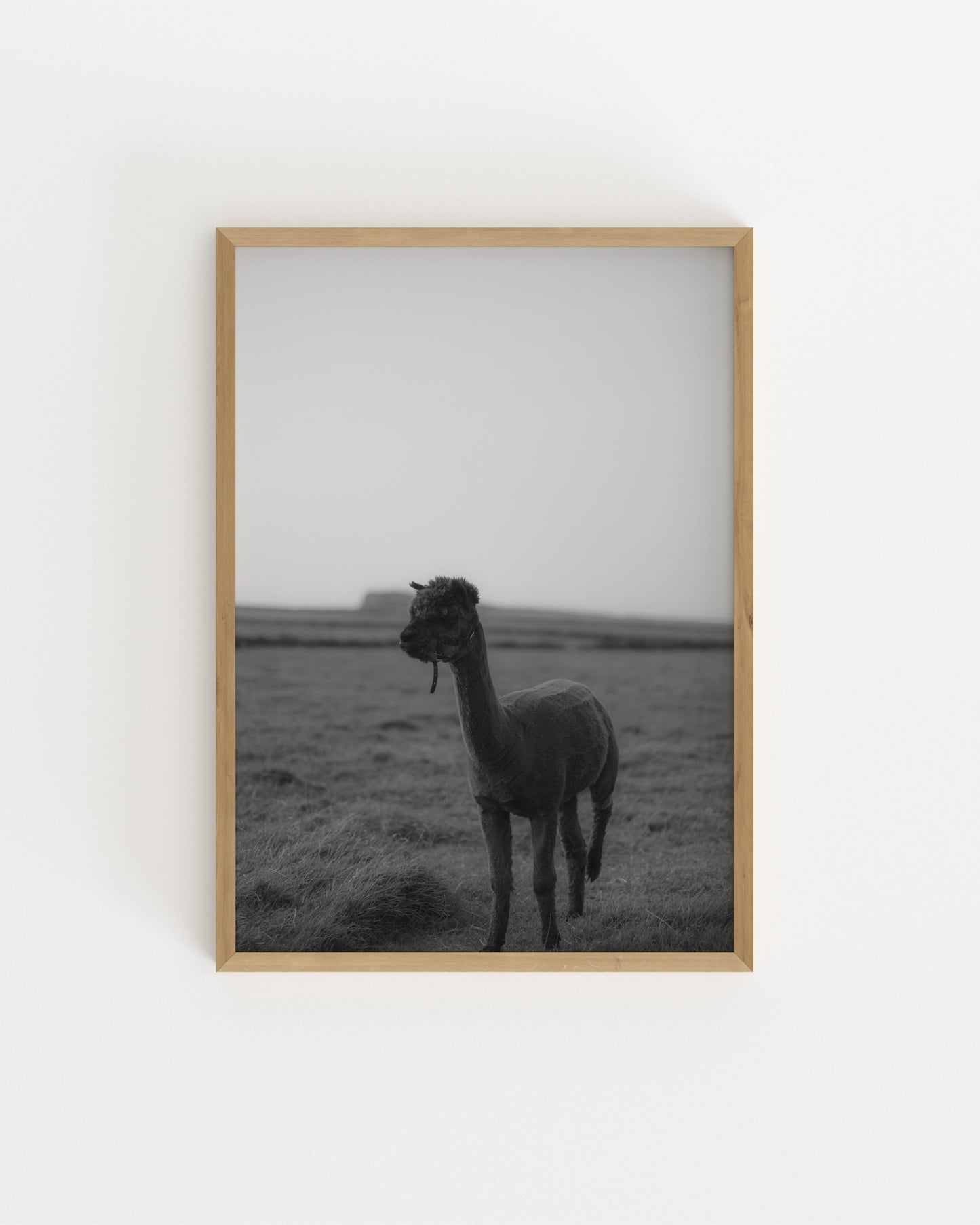 Moody Tones. Kerry Alpaca-printable wall art by Paperhus