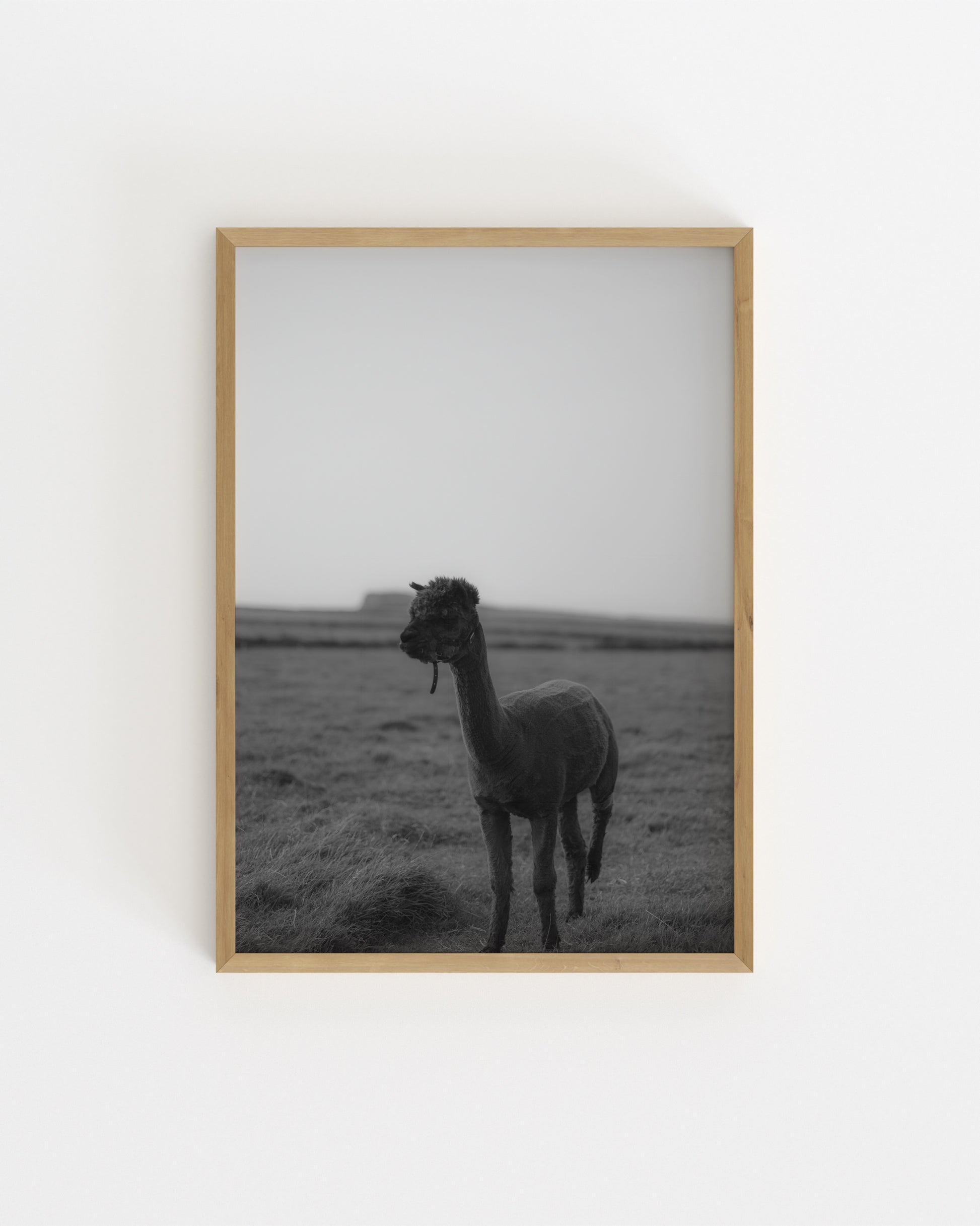 Moody Tones. Kerry Alpaca-printable wall art by Paperhus