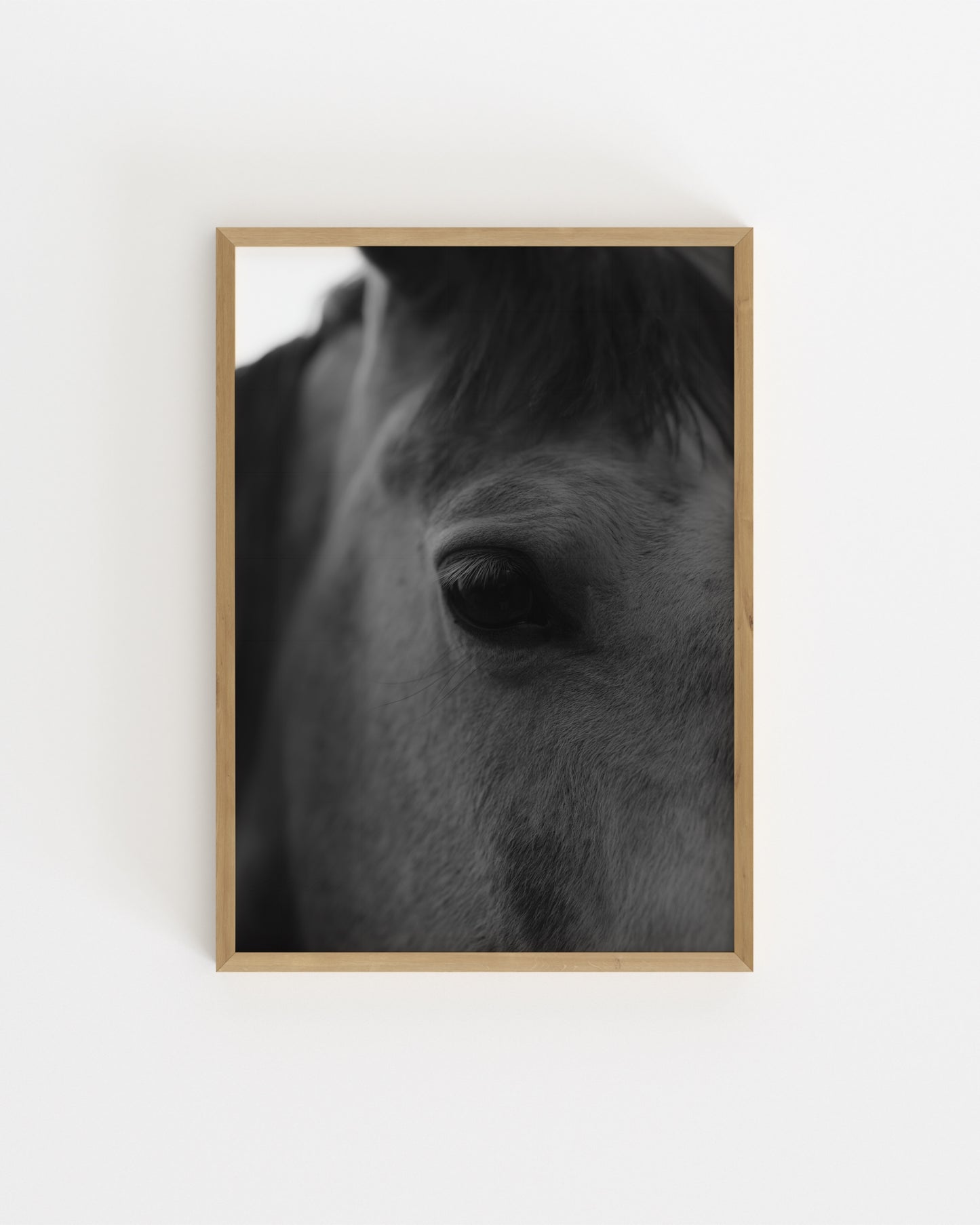 Moody Tones. Horse Portrait-printable wall art by Paperhus