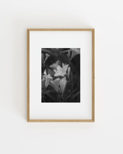 Moody Tones. Quiet Bloom-printable wall art by Paperhus