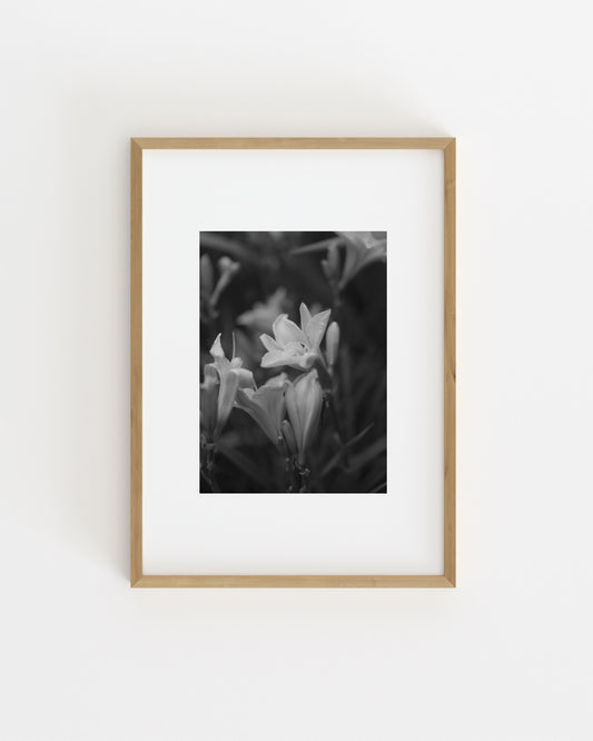 Moody Tones. Quiet Bloom-printable wall art by Paperhus