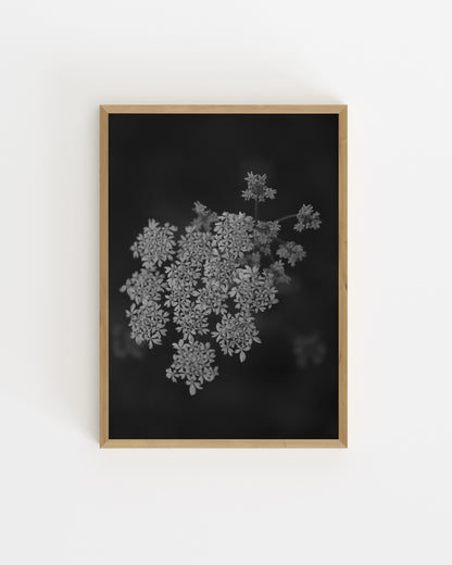 Moody Tones. Field Florals-printable wall art by Paperhus