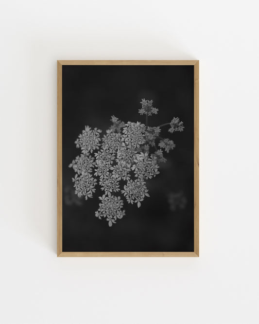 Moody Tones. Field Florals-printable wall art by Paperhus
