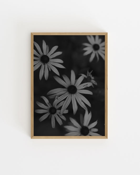 Moody Tones. Florals-printable wall art by Paperhus