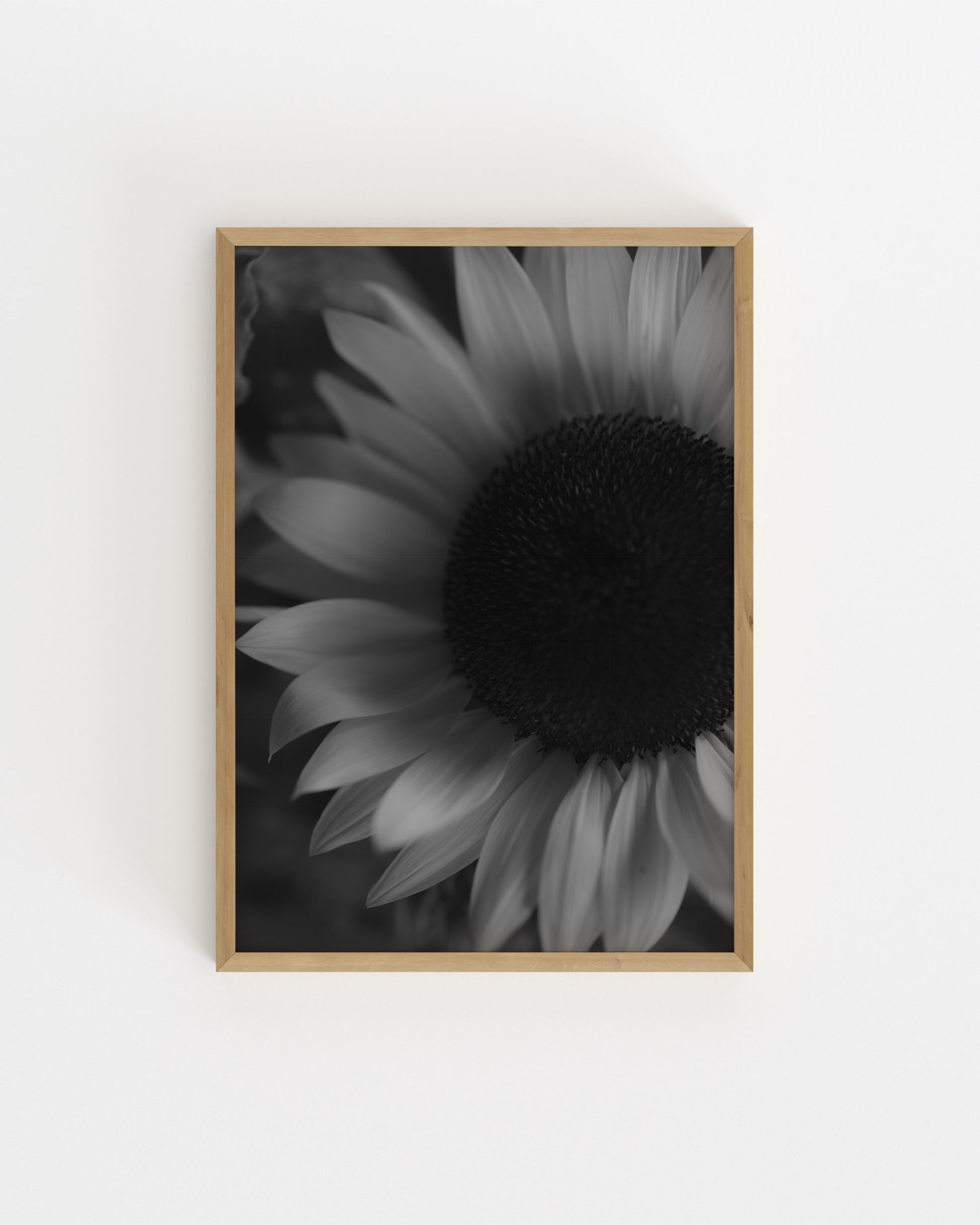 Moody Tones. Sunflower-printable wall art by Paperhus