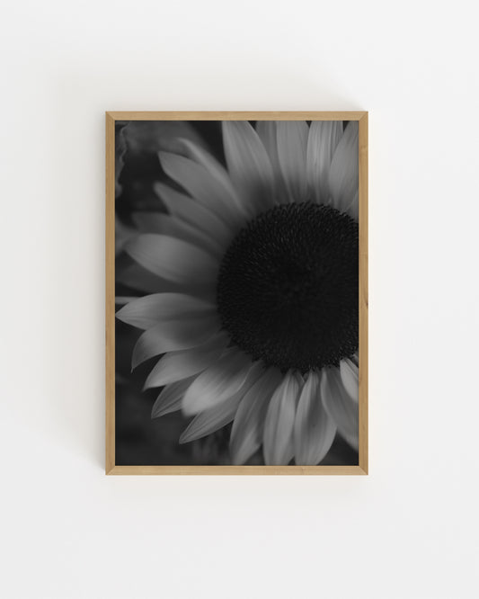 Moody Tones. Sunflower-printable wall art by Paperhus