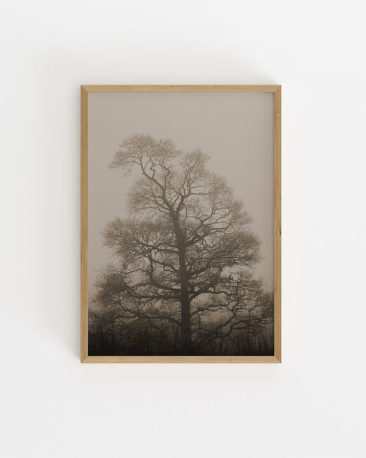 Moody Tones. Still III-printable wall art by Paperhus