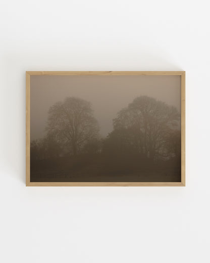 Moody Tones. Woodland I-printable wall art by Paperhus
