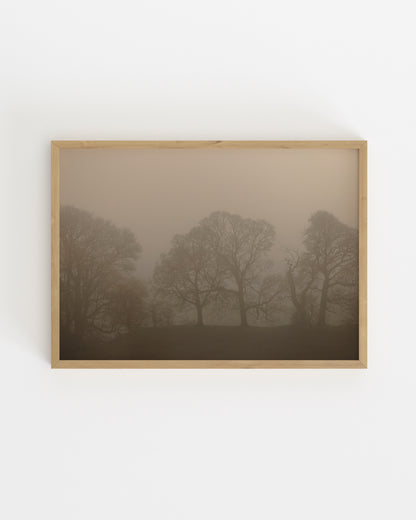 Moody Tones. Woodland II-printable wall art by Paperhus