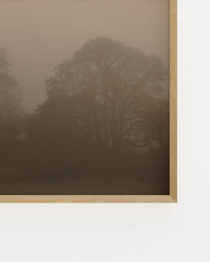 Moody Tones. Woodland I-printable wall art by Paperhus