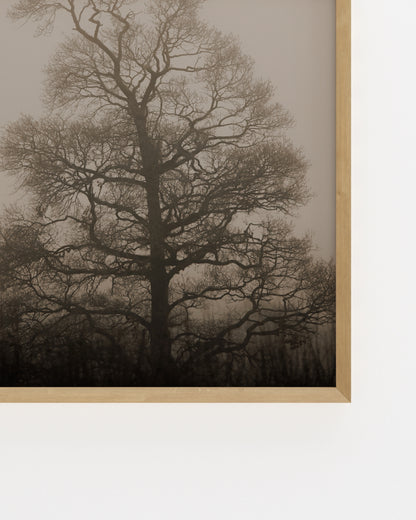 Moody Tones. Still III-printable wall art by Paperhus