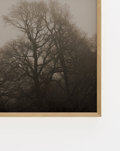 Moody Tones. Still IV-printable wall art by Paperhus