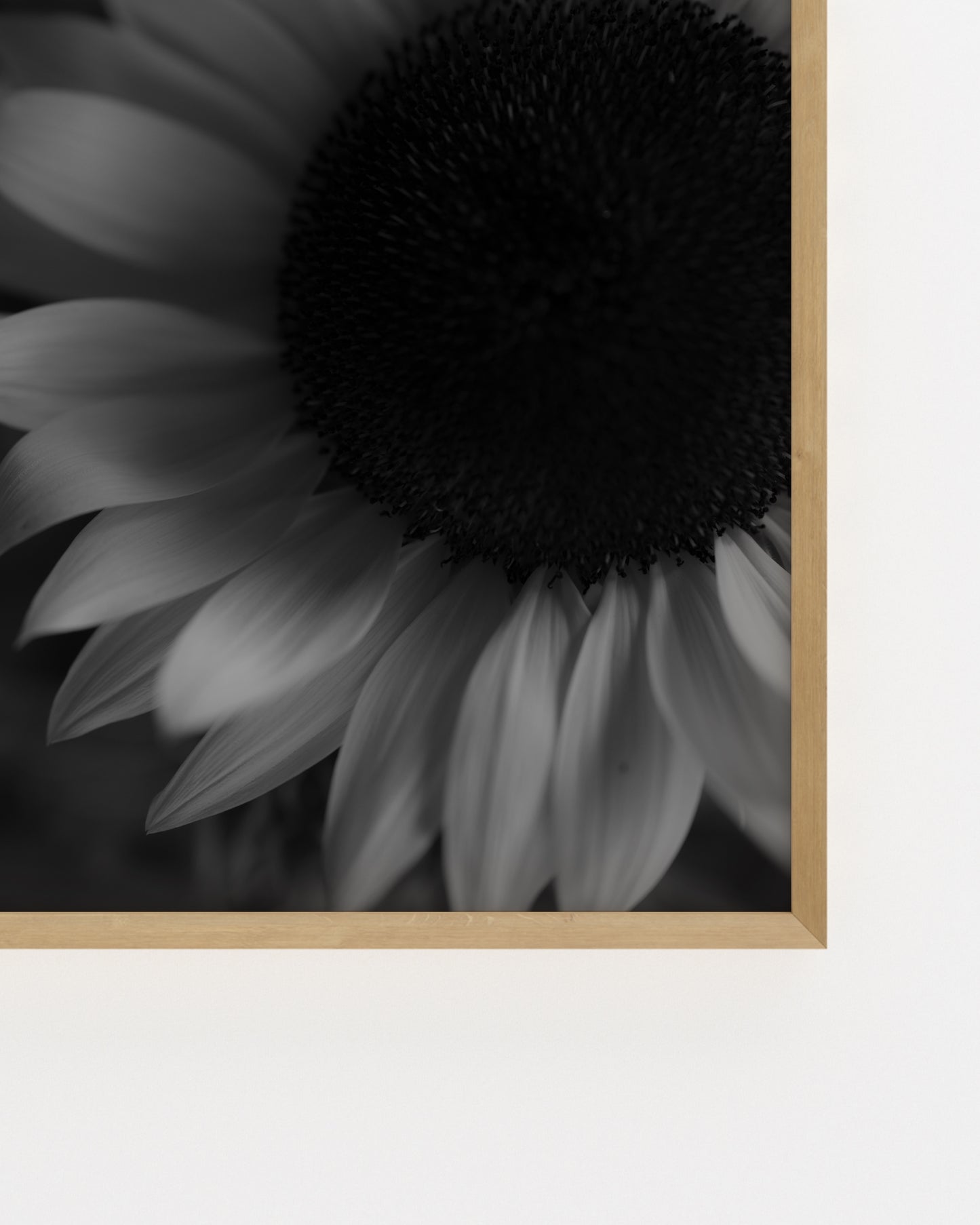 Moody Tones. Sunflower-printable wall art by Paperhus