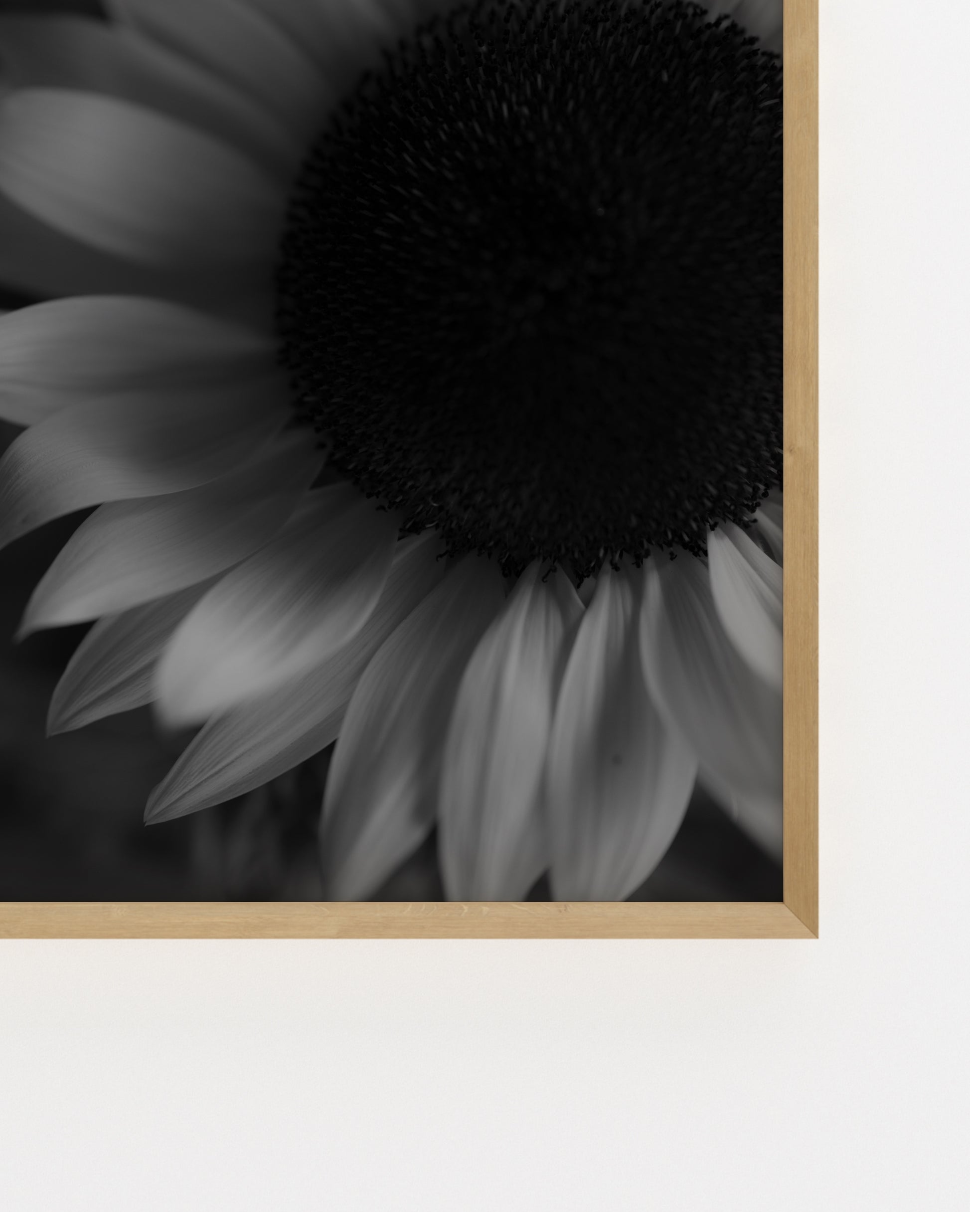 Moody Tones. Sunflower-printable wall art by Paperhus